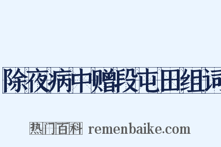 除夜病中赠段屯田组词是什么意思的图片